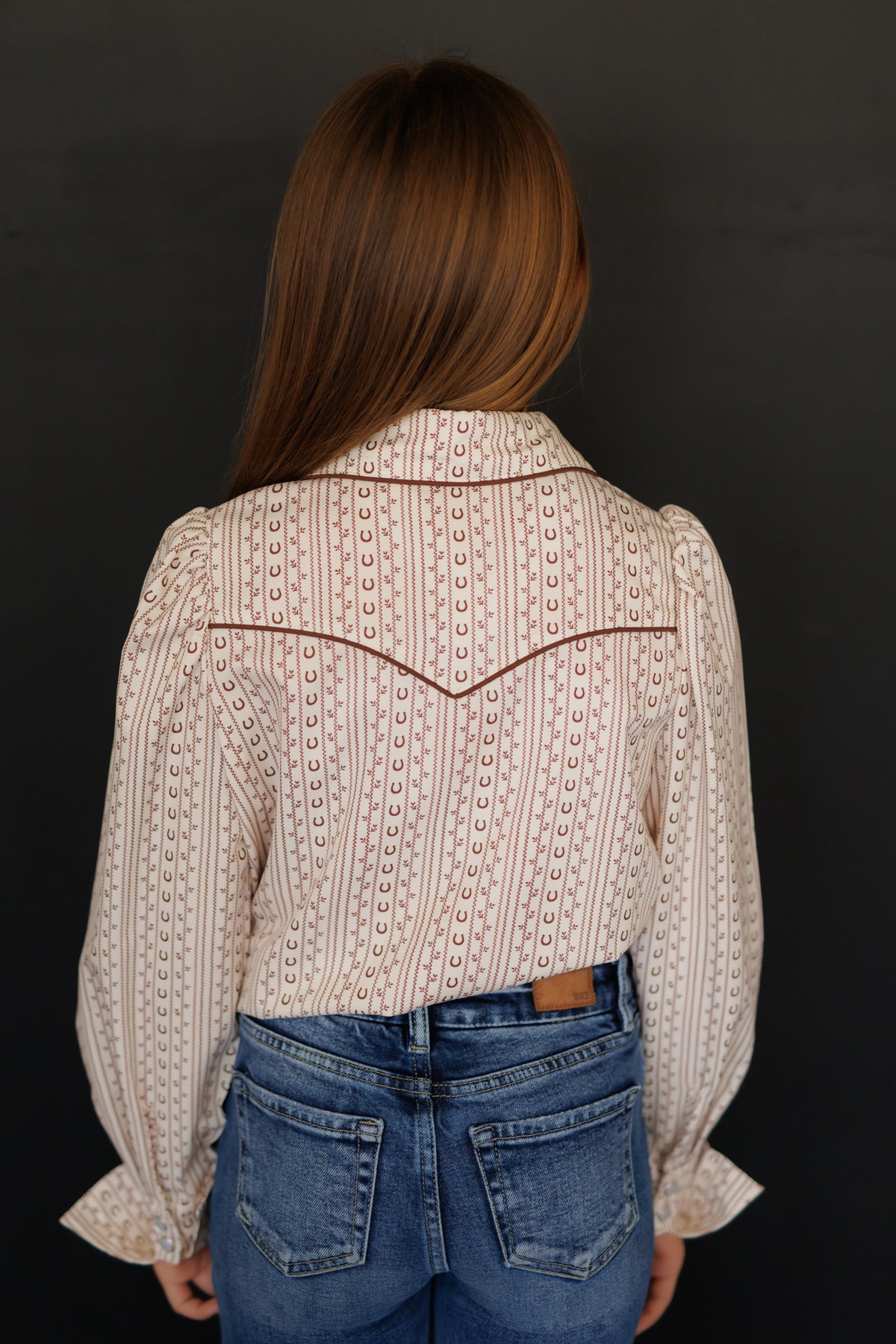 Brown Horseshoe Long Sleeve Pearl Snap WB2750